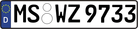 MS-WZ9733