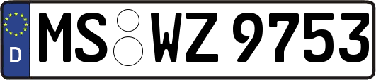 MS-WZ9753
