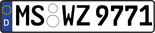 MS-WZ9771
