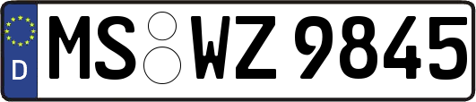 MS-WZ9845