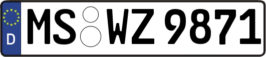 MS-WZ9871