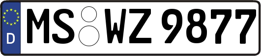 MS-WZ9877