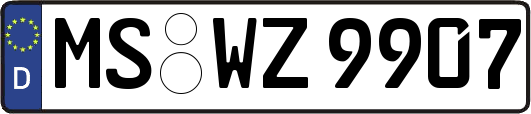 MS-WZ9907