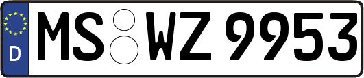 MS-WZ9953