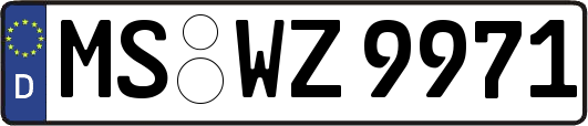 MS-WZ9971