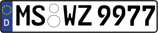 MS-WZ9977