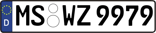 MS-WZ9979