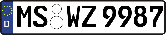 MS-WZ9987