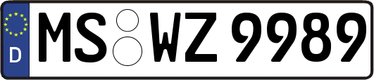 MS-WZ9989
