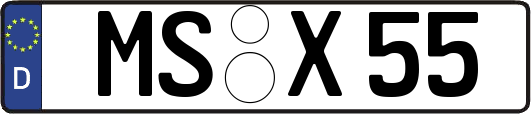 MS-X55