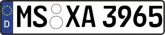 MS-XA3965