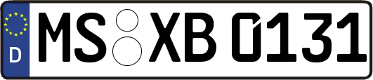 MS-XB0131