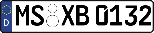 MS-XB0132