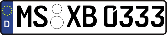 MS-XB0333