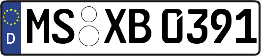 MS-XB0391