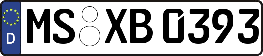 MS-XB0393