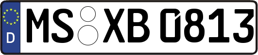 MS-XB0813