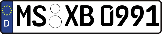 MS-XB0991