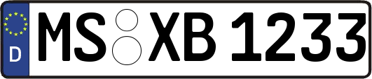 MS-XB1233