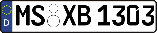 MS-XB1303