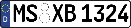 MS-XB1324