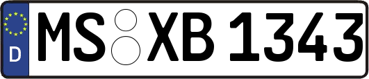 MS-XB1343