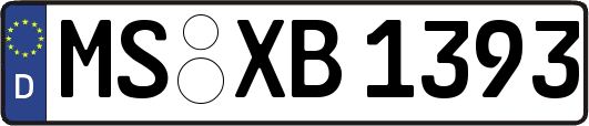 MS-XB1393