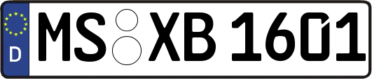 MS-XB1601