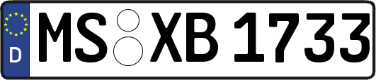 MS-XB1733