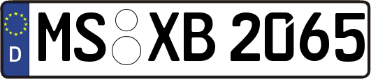 MS-XB2065