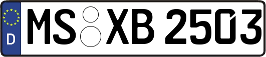 MS-XB2503