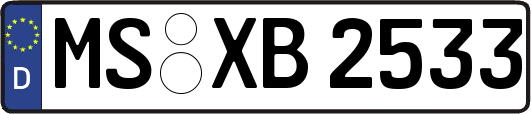 MS-XB2533
