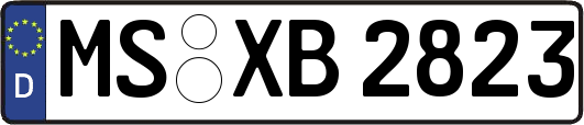 MS-XB2823