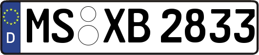 MS-XB2833
