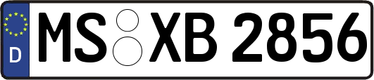 MS-XB2856