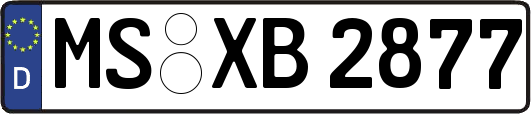 MS-XB2877