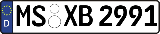 MS-XB2991
