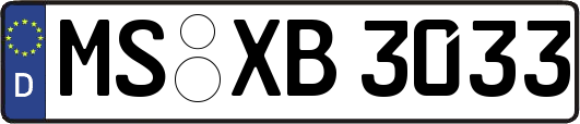 MS-XB3033