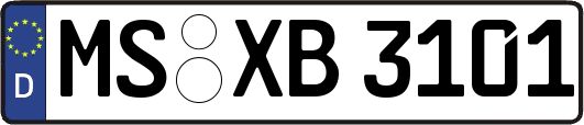 MS-XB3101