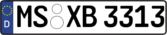 MS-XB3313