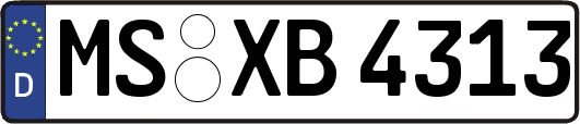 MS-XB4313