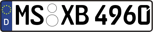 MS-XB4960