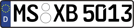MS-XB5013
