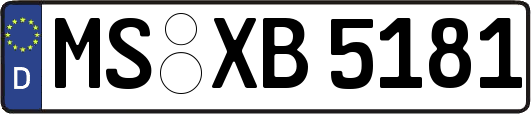 MS-XB5181