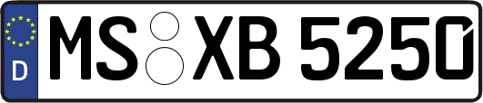 MS-XB5250