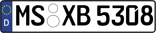 MS-XB5308