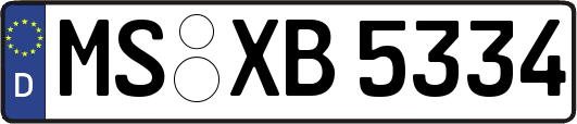 MS-XB5334
