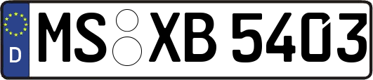 MS-XB5403