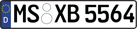 MS-XB5564