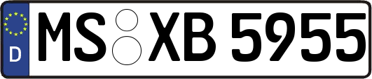 MS-XB5955